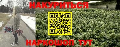 каннабис Аргун