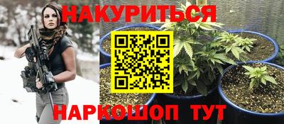 крисы Апшеронск