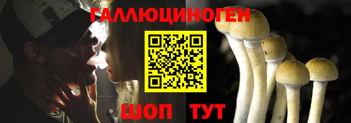Псилоцибиновые грибы прущие грибы  Вход с VPN  купить наркотики сайты  Мценск  Псилоцибиновые грибы мицелий 